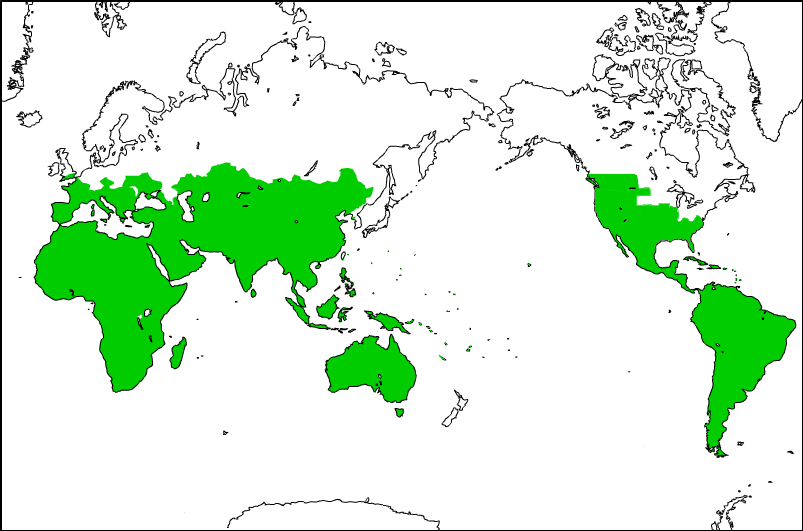 Scorpion distribution map